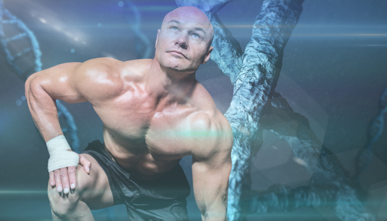 How We Optimize Your Lifestyle