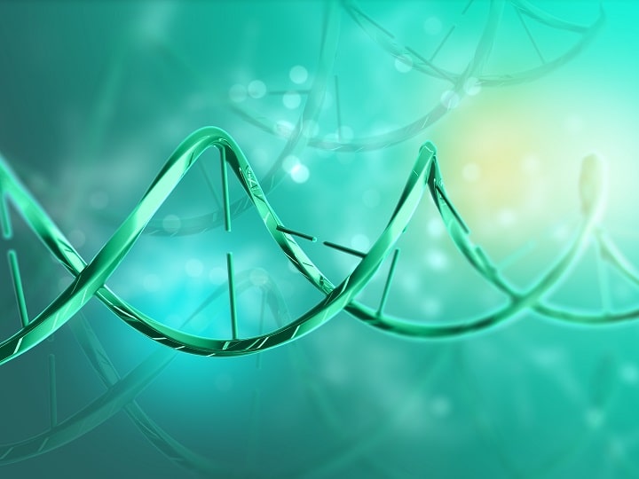 Genes and The History