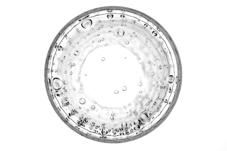 What Are Stem Cells?